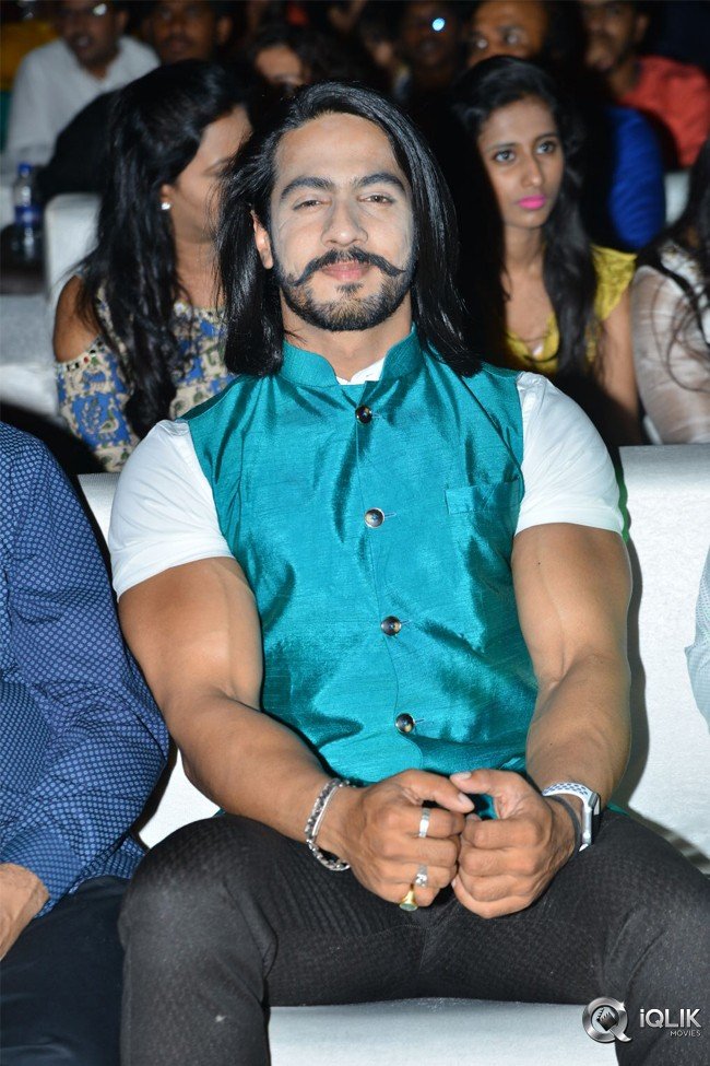 Naa-Peru-Surya-Naa-Illu-India-Pre-Release-Event-Photos